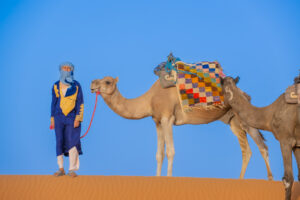 El Desierto de Merzouga
