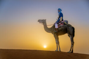 3 giorni da Fez a Marrakech via deserto di Merzouga