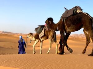 About Erg Chebbi Desert