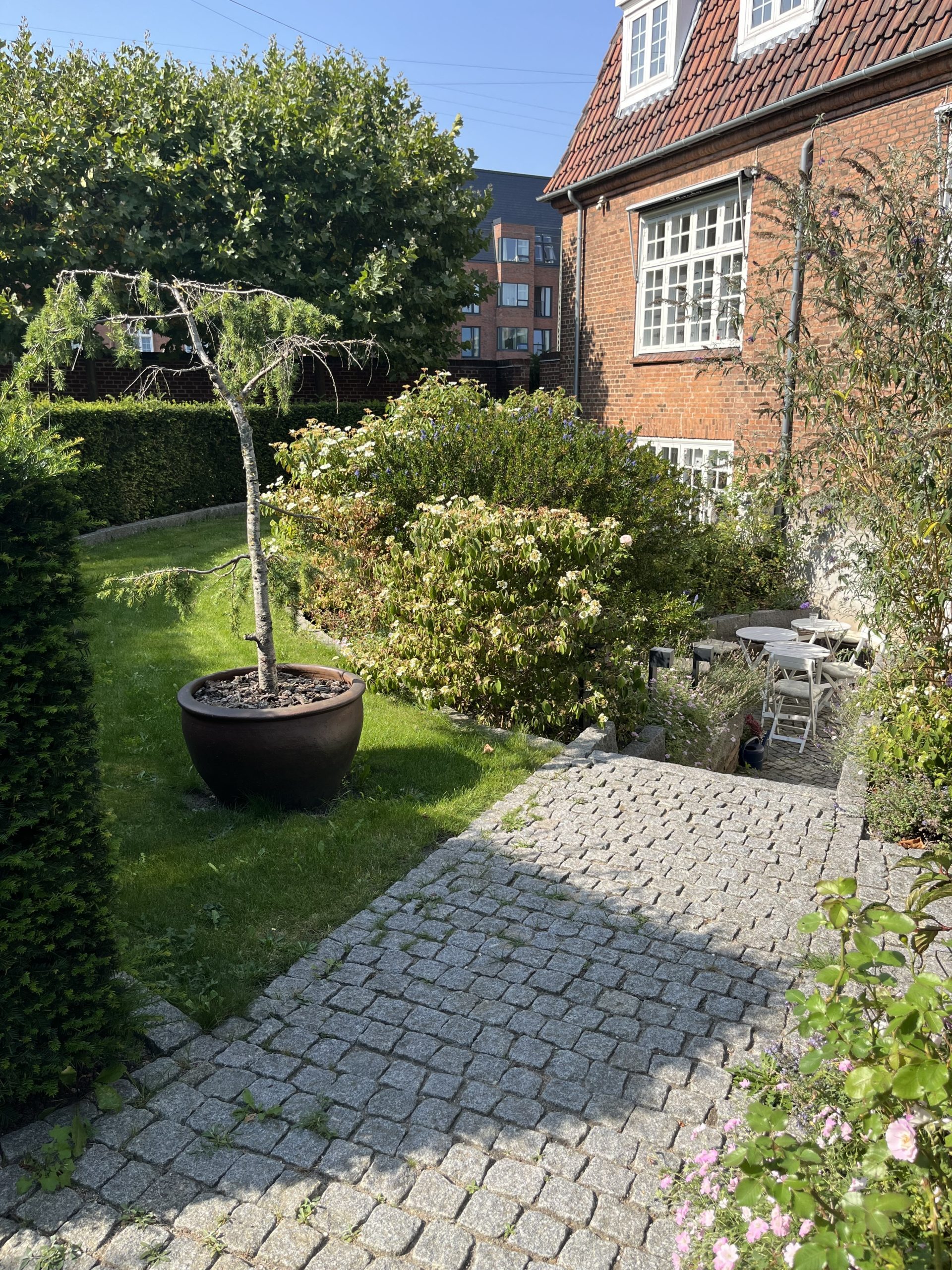 Kik til personale terrasse