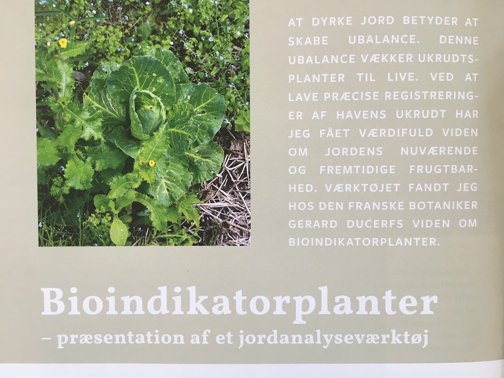 bio-indikatorplanter artikel