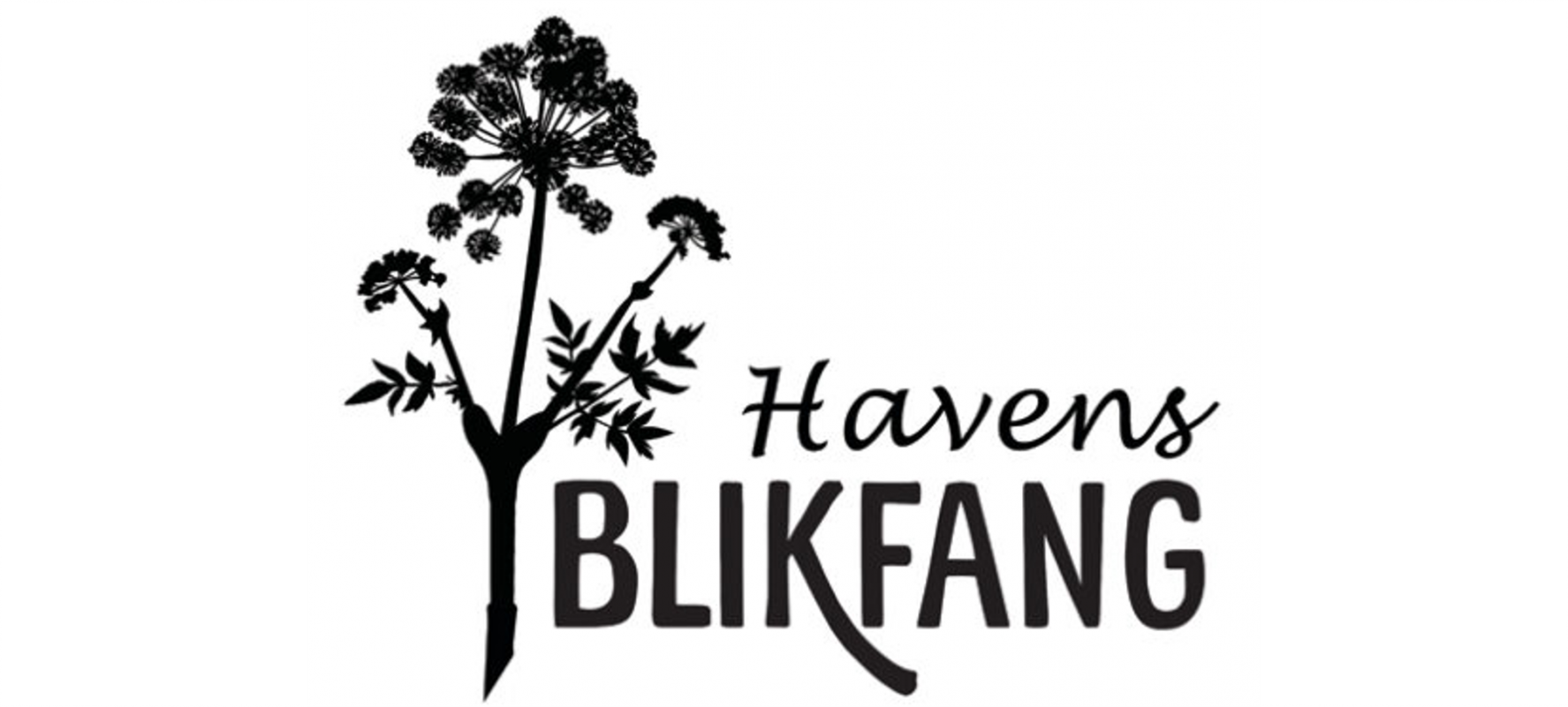 Havens Blikfang