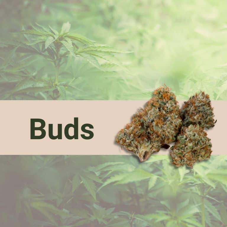 THCH buds blommor thc-h CBD Buds