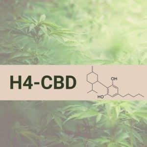 H4CBD