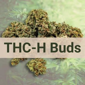 THCH Buds