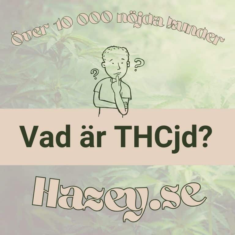 Vad är THCjd