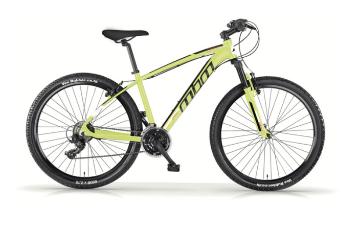 Dart 29"