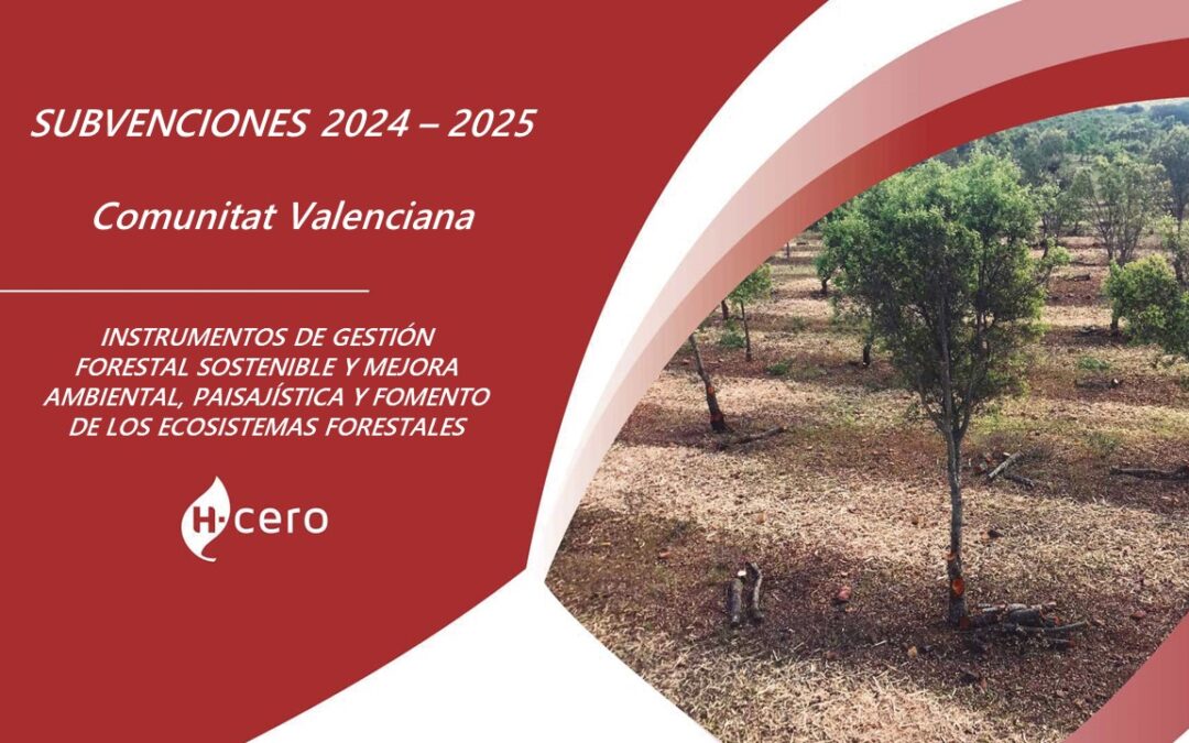 Ayudas forestales Comunidad Valenciana 2024 y 2025 para la aplicación de medidas de gestión forestal sostenible