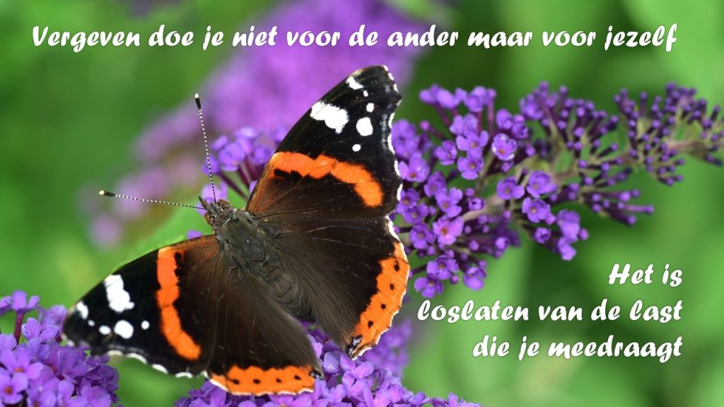 vlinder met tekst