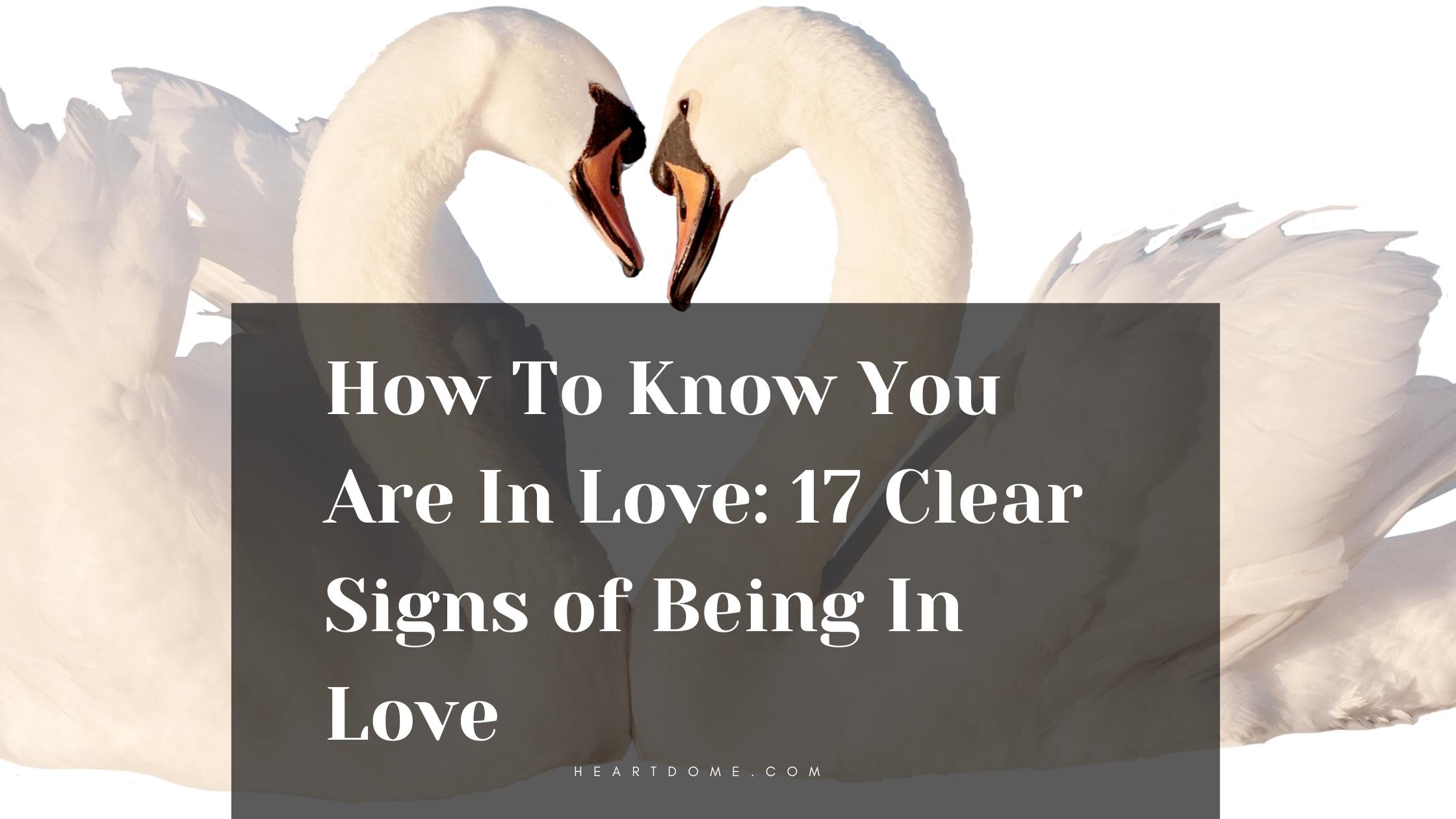 How To Know You Are In Love: 17 Clear Signs of Being In Love