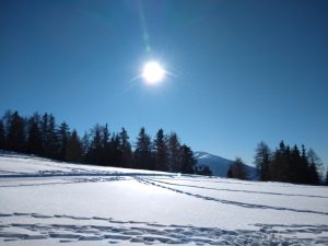 Im Reich der Schneeköniging