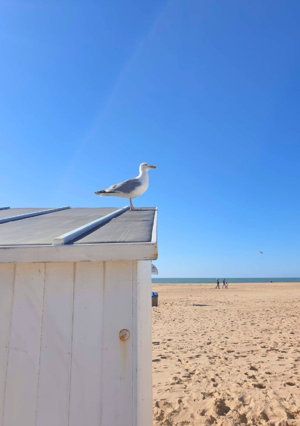 Het leven zoals het is: de strandcabine