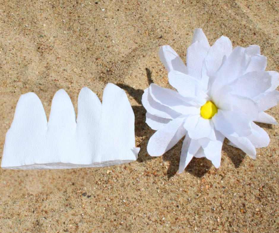 Een witte bloem met hoe de bloemblaadjes uit crepepapier geknipt moeten worden.