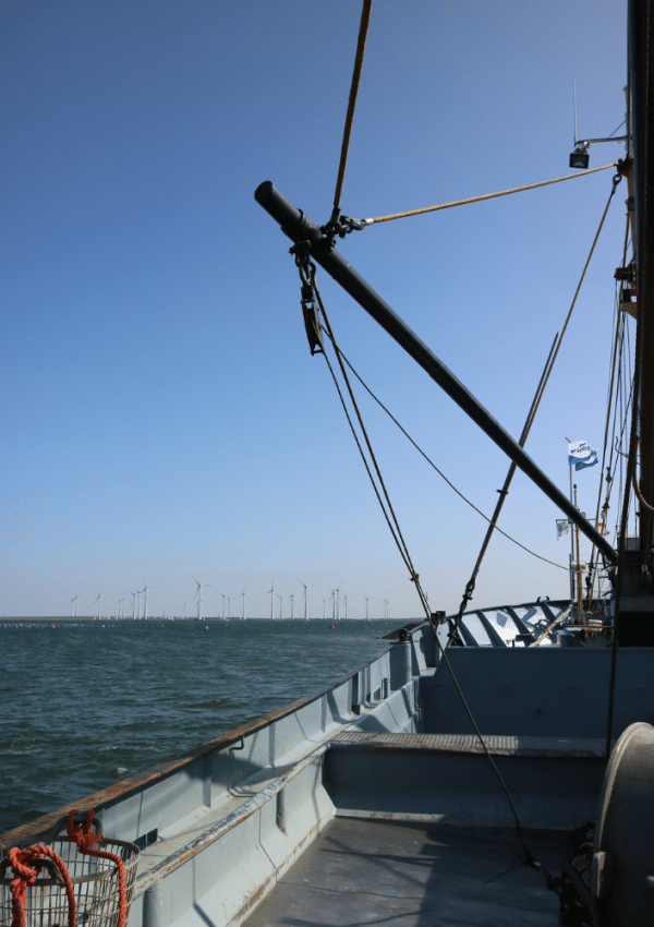 De mosselcultuur in Bruinisse - een vissersschip op zee.