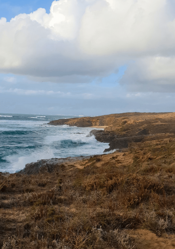 Golven beuken op de kust van Alentejo in Portugal.