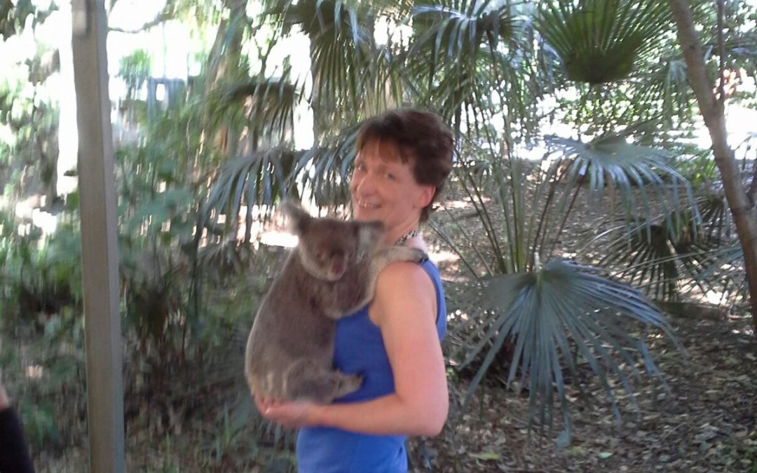 Knuffelen met een koala | Heidi's Reiswereld