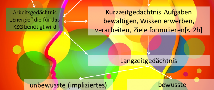 PK 13 Das Gedächtnis PK 13 Das Gedächtnis