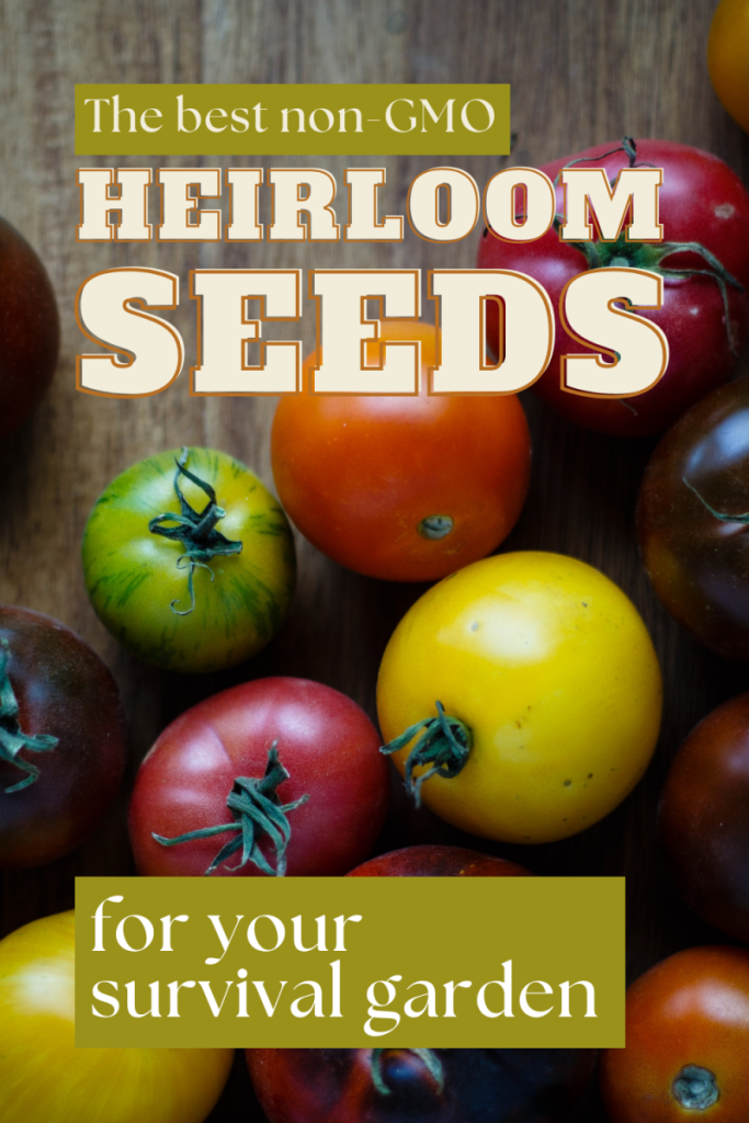 An image of colourful heirloom tomatoes with the text "The best non-gmo heirloom seeds for your survival garden".