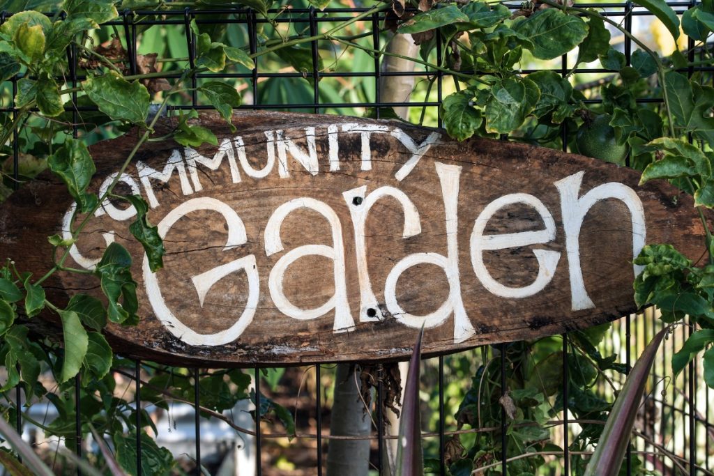 A beautiful hand-made wooden sign hanging on a wire fence, surrounded by greenery. It says "community garden". Joining a community garden is a great way to get started home steading.