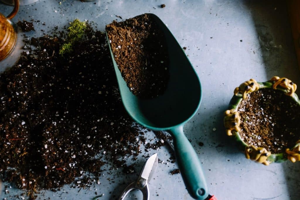 A blue shovel lying on a table with some soil.