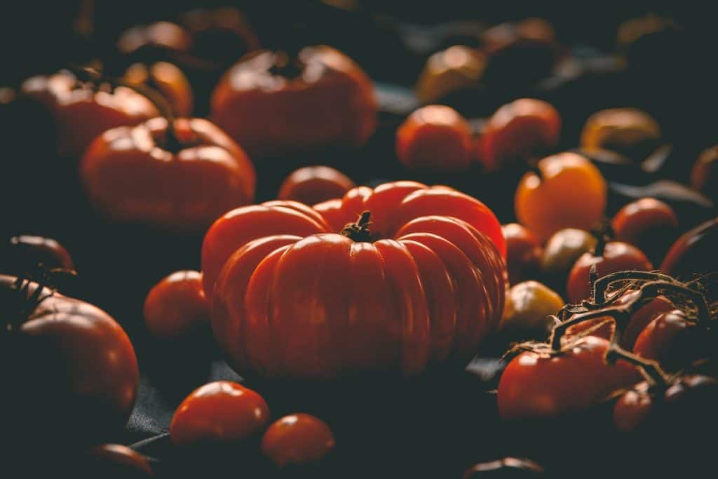 Several pumpkin looking tomatoes lying on a table. Looking old worldly. These are perfect seeds for your survival garden.