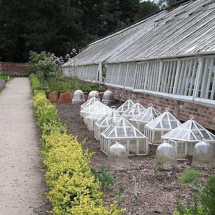 Claverton Cloches in several varieties alongside a large greenhouse.