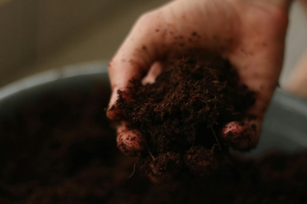 A hand holding some soil to be used to for starting seeds.