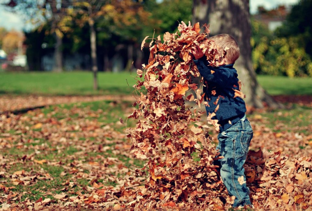 Young boy of maybe 3 years throws leaves in the air.