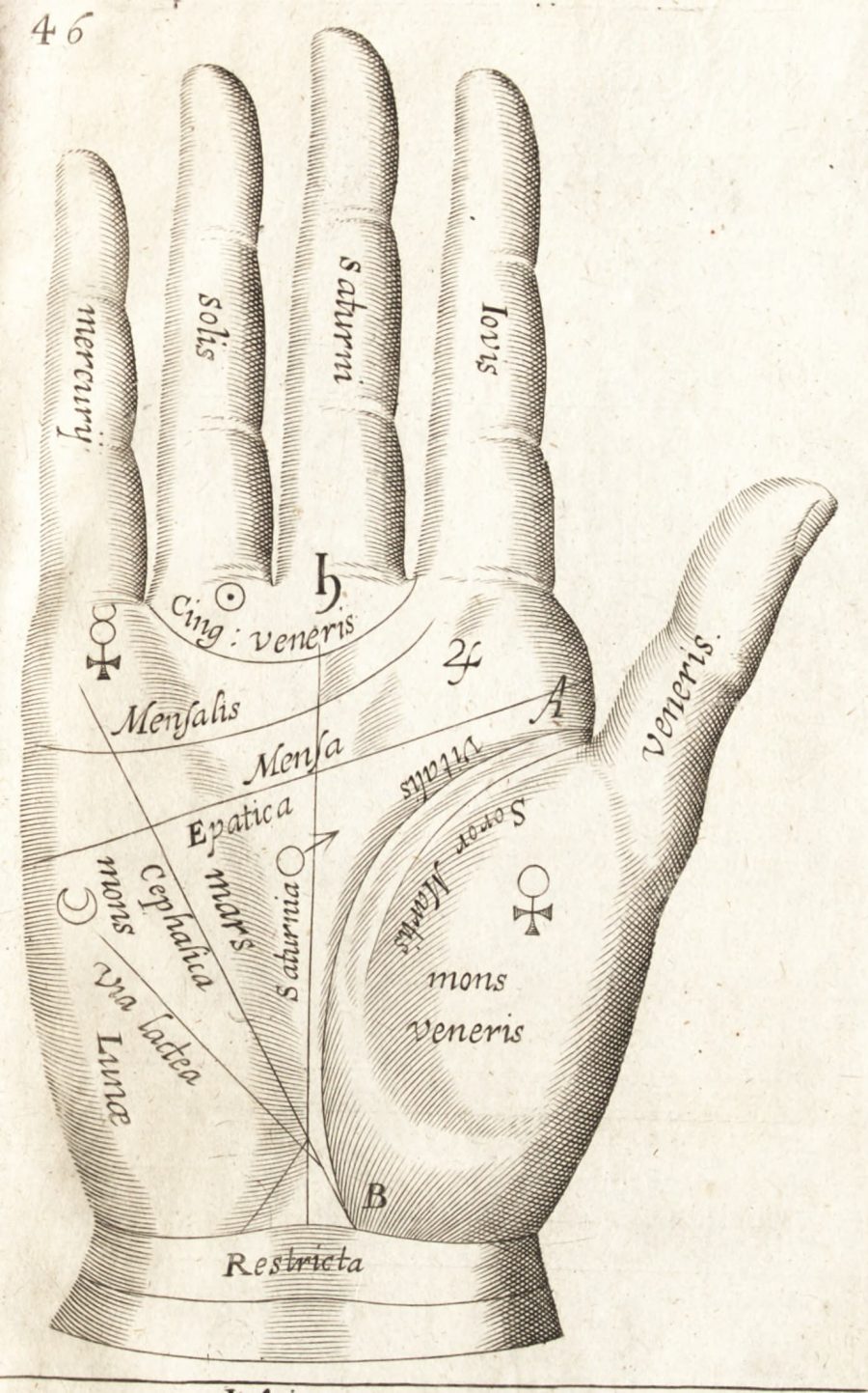 Palmistry/Chiromancy HekseCast