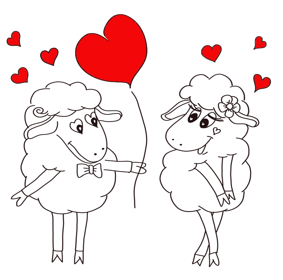 Loveable sheep