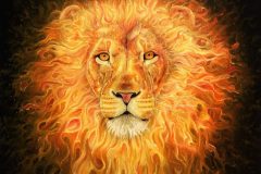 The Fire Lion