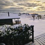 HELHJERTET_LIV_540X515_8