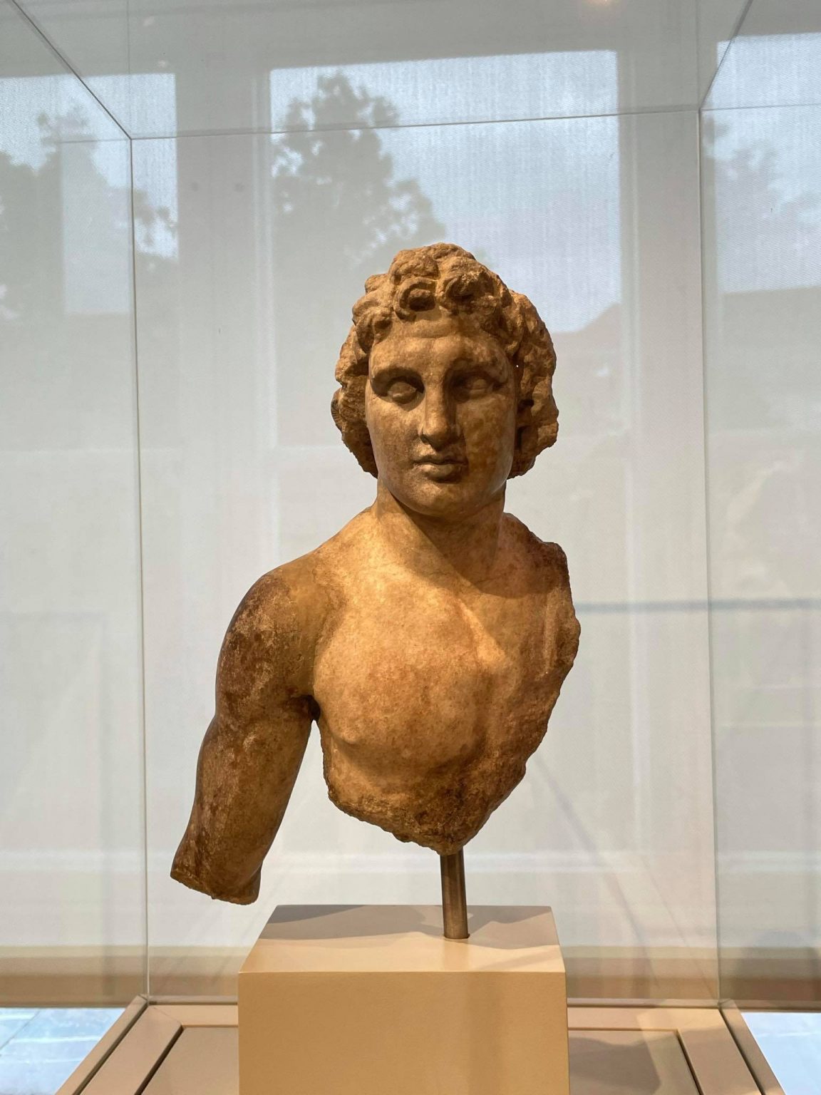 The Dark Side of Alexander The Great – Hellenistic History