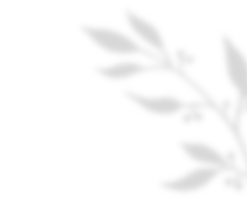 shadow_leaves_01 https://usercontent.one/wp/www.helmerslund.se/wp-content/uploads/2020/11/shadow_leaves_01.png