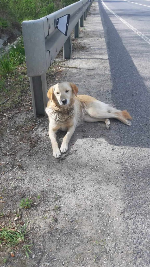 Zoë op straat 