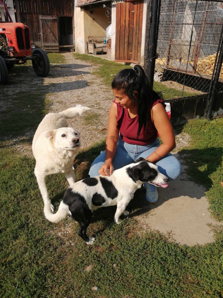 Feherke kan goed overweg met andere honden en andere dieren.