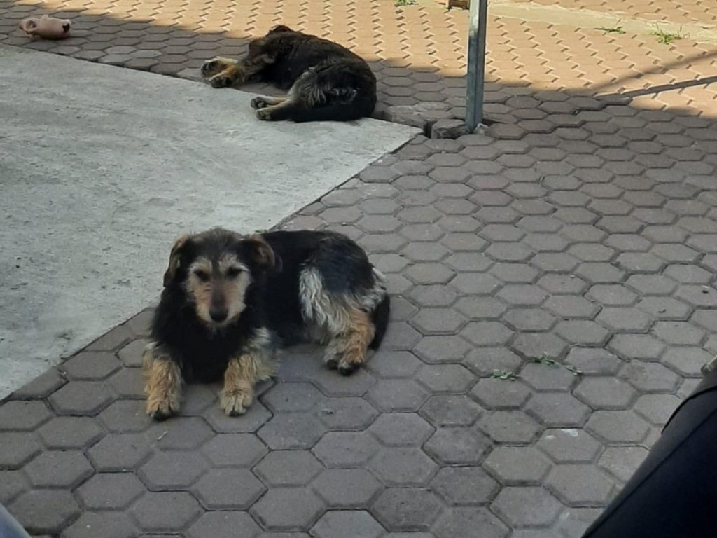 Nica rust uit