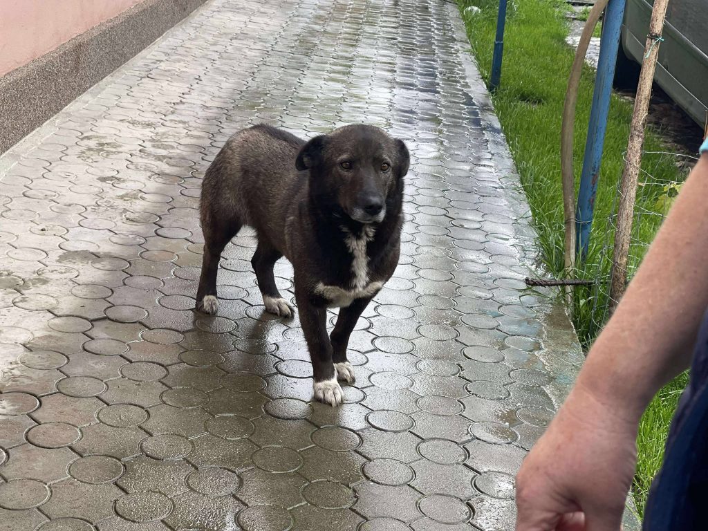 Cora is nieuwsgierig.