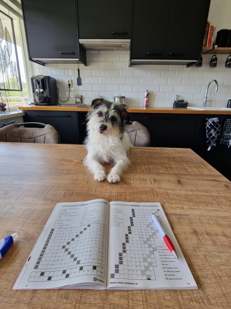 Roemi is een slimme hond.