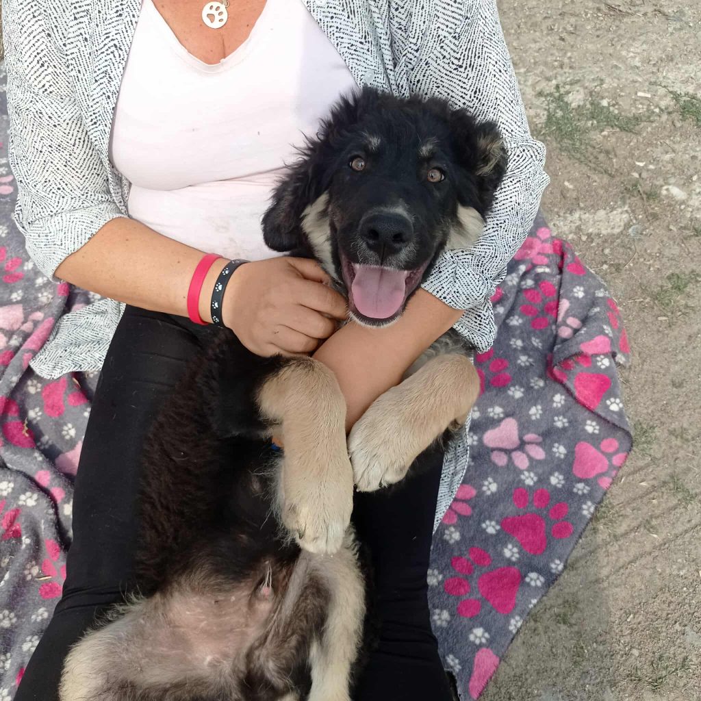 Tobias ligt op schoot.