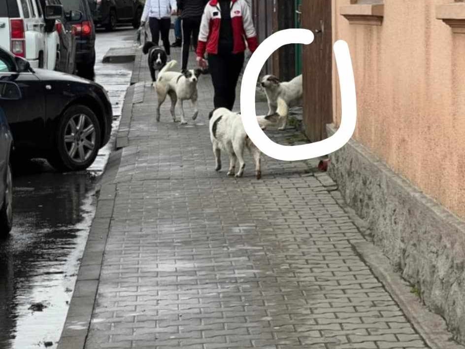 Belinda leefde op straat. 