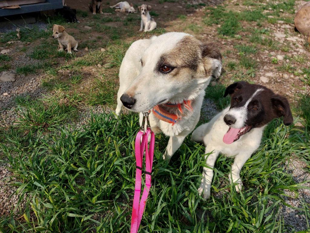 Belinda met zoon Dancer