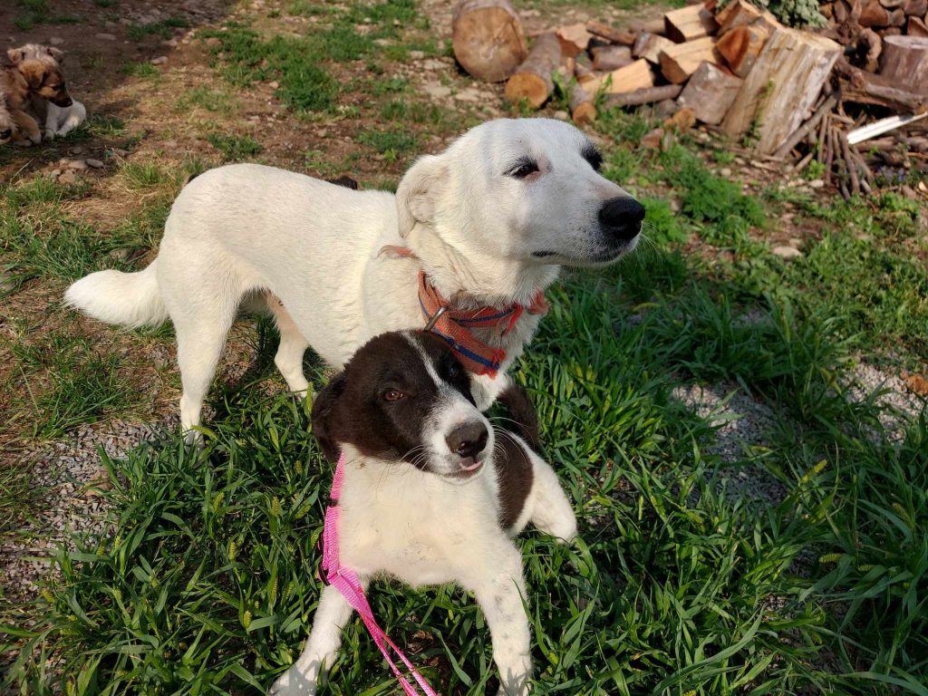 Belinda en haar zoon Dancer.