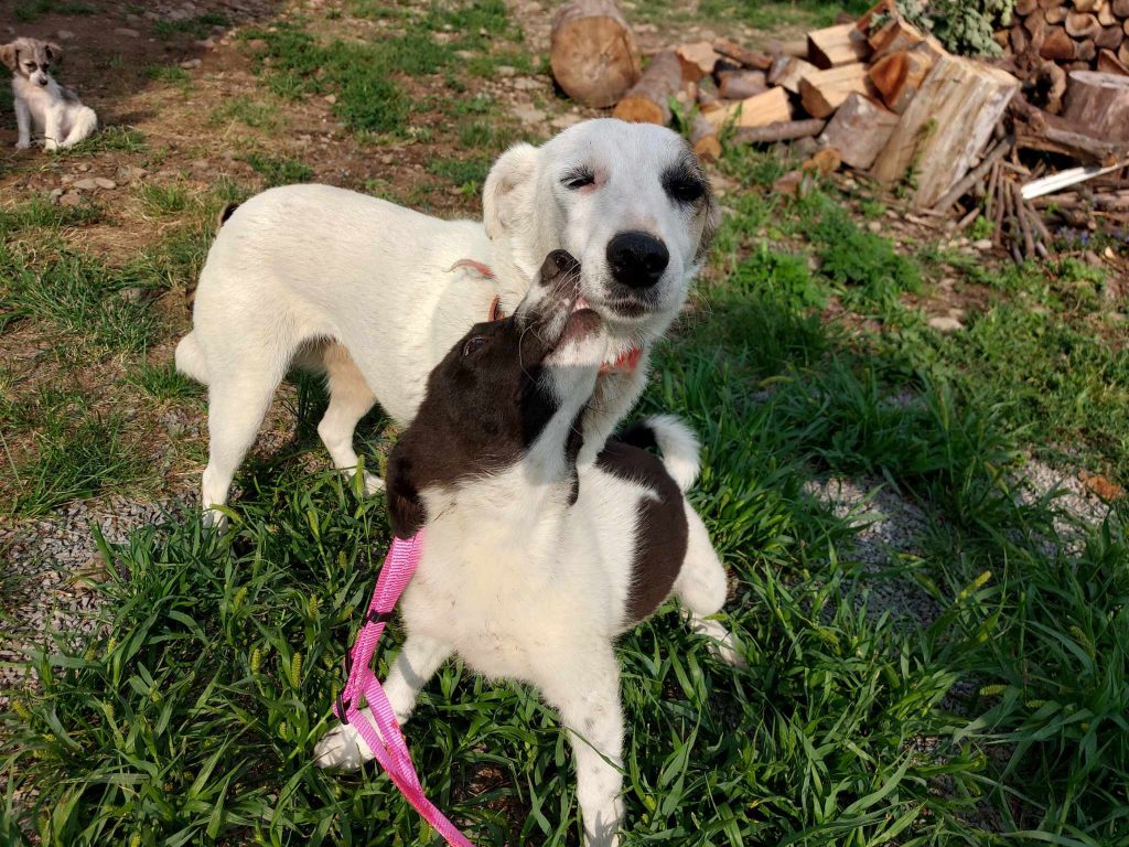 Belinda is een goede moeder. 