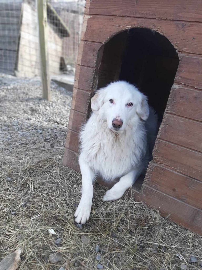 Cocos is aanhankelijk.