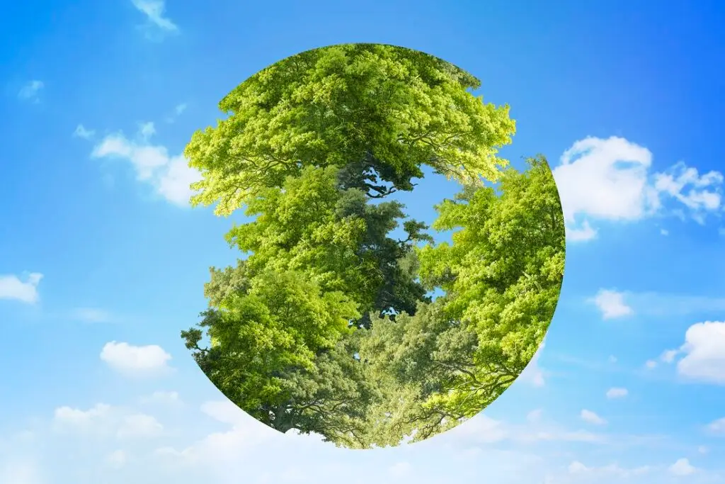 Earth day graphic trees in globe circle shape on sky background