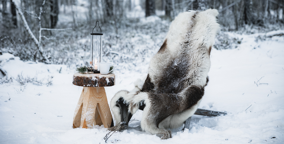 Så gör du pallar av trädstockar