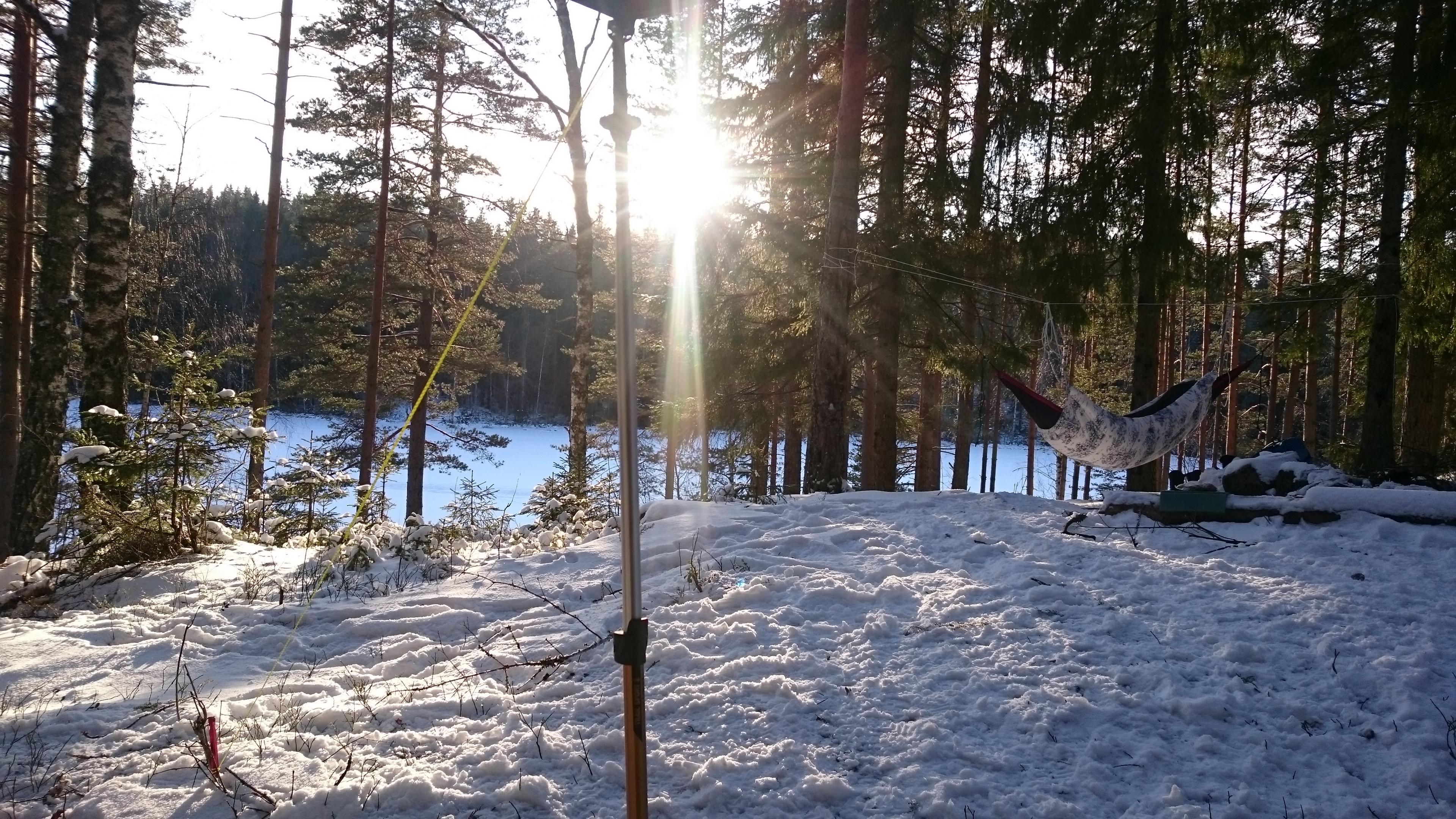 Fräsche barduner, brodder og M/77