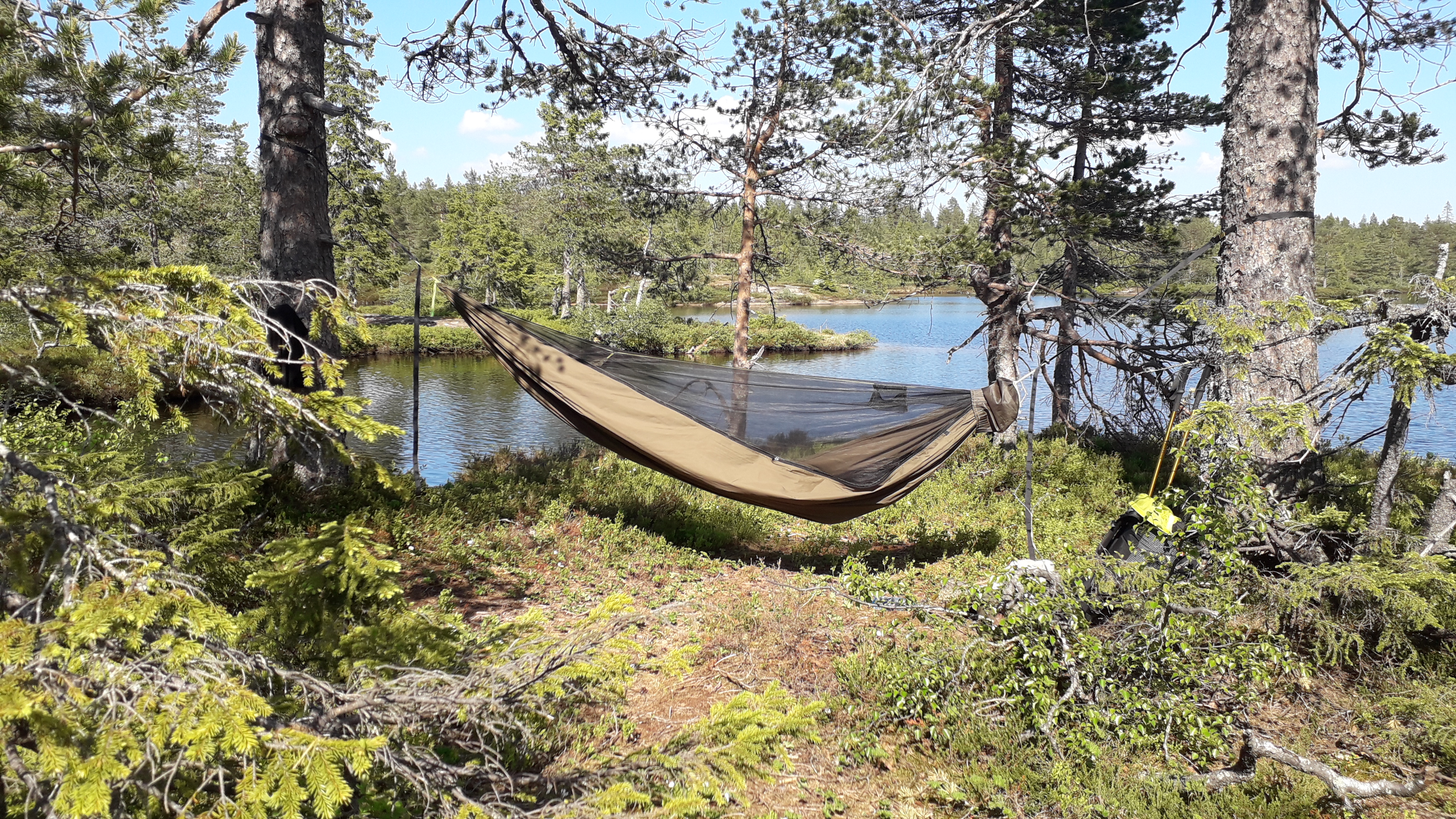 Feit fyr på flukt fra varmen, del 3