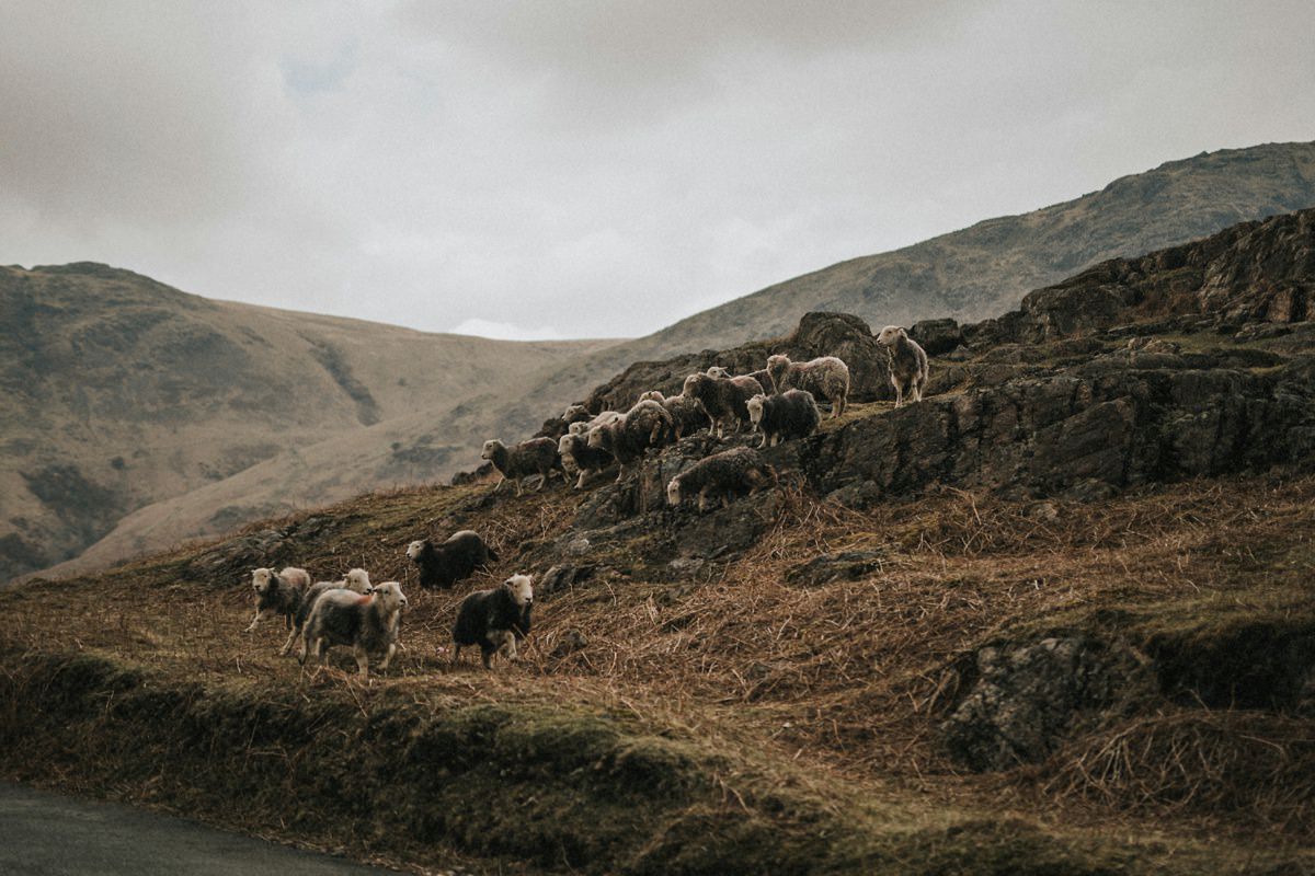 Lake district wedding photographer cumbria wedding photography lake district elopement 